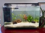 Aquarium  Superfish Home 65, Dieren en Toebehoren, Ophalen, Zo goed als nieuw, Leeg aquarium