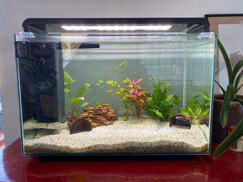 Aquarium  Superfish Home 65, Dieren en Toebehoren, Vissen | Aquaria en Toebehoren, Zo goed als nieuw, Leeg aquarium, Ophalen