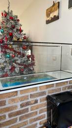 Aquarium te koop, Ophalen, Zo goed als nieuw, Terrarium of Paludarium