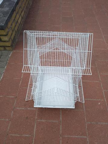 vogelkotje beschikbaar voor biedingen