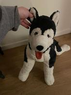 Husky peluche, Comme neuf, Autres types, Enlèvement