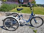 ELECTRISCHE DRIEWIELER VOLWASSENEN MERK:TRI-BIKE, Fietsen en Brommers, Ophalen, Zo goed als nieuw