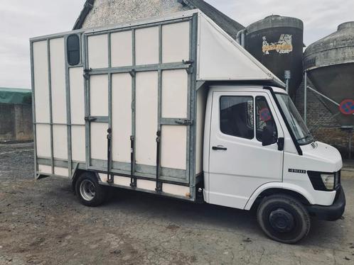 Camion pour chevaux permis b fashion