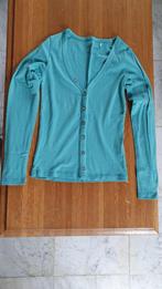 Licht blauw/groene trui met knoopjes - S - Vero Moda, Ophalen, Overige kleuren, Vero Moda, Maat 36 (S)