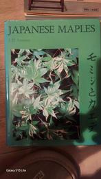 Japanese maples, Comme neuf, Enlèvement ou Envoi