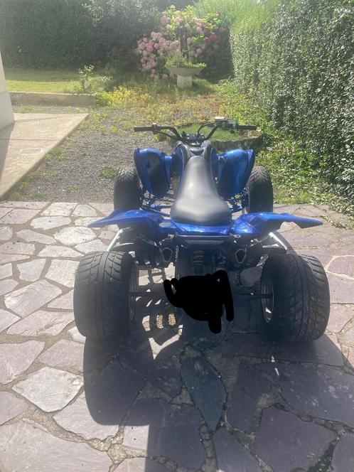 Yamaha raptor 700, Motos, Quads & Trikes, jusqu'à 11 kW, 1 cylindre, Enlèvement