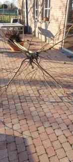 dakplataan, Tuin en Terras, Ophalen