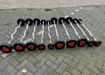 10 barres d'haltères fixes Ziva de 10 à 30 kg, Enlèvement, Utilisé, Bras, Barre d'haltères