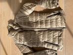 Jas massimo dutti nieuw, Kleding | Dames, Ophalen of Verzenden