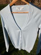 Babyblauwe cardigan S/36, Ophalen, Blauw, Zo goed als nieuw, Maat 36 (S)