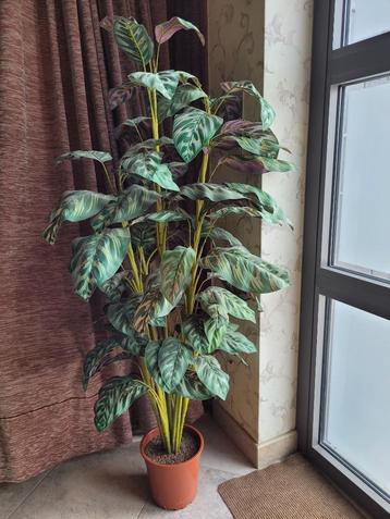 Kunstmatige plant beschikbaar voor biedingen