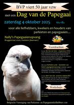 Dag van de Papegaai op 4 oktober, Dieren en Toebehoren, Vogels | Parkieten en Papegaaien, Papegaai