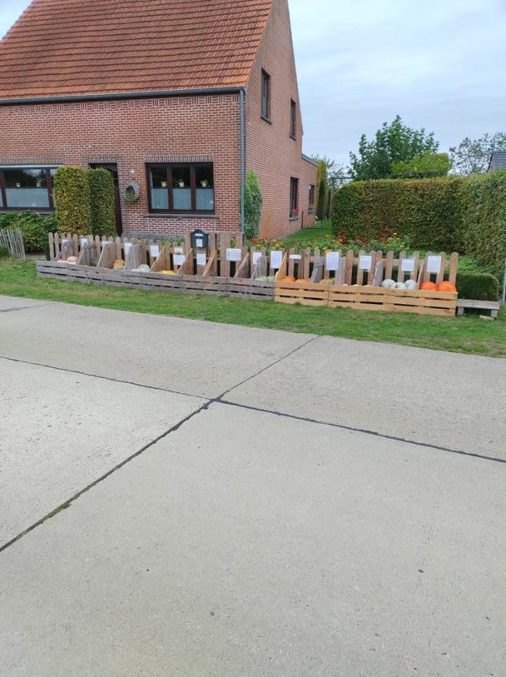 pompoenen, Tuin en Terras, Tuinwanddecoratie, Ophalen of Verzenden