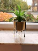 Kunstmatige staande plant „Maisons du Monde”, Ophalen of Verzenden