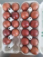 Marans broedeieren, Dieren en Toebehoren, Pluimvee