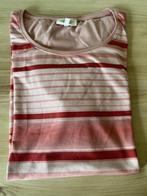 T-Shirt Paola B/F 52, D/NL 50, Paola, Nieuw, Roze, Shirt of Top