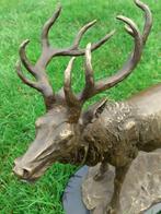 Prachtig gesigneerd bronzen beeld (het gebrul van het hert), Antiek en Kunst, Ophalen of Verzenden