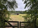 Weide met dubbele stal te huur(Gellik), Dieren en Toebehoren, 2 of 3 paarden of pony's