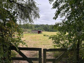 Weide met dubbele stal te huur(Gellik), 2 ou 3 chevaux ou poneys