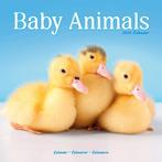 Kalender voor babydieren 2026, Ophalen of Verzenden, Jaarkalender, Nieuw