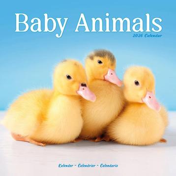 Kalender voor babydieren 2026 beschikbaar voor biedingen