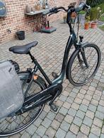 Giant damesfiets, Ophalen, 53 tot 56 cm, Versnellingen, Giant