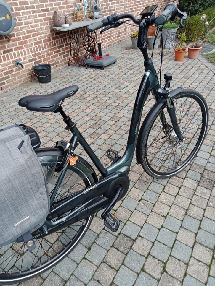 Giant damesfiets, Fietsen en Brommers, Fietsen | Dames | Damesfietsen, Zo goed als nieuw, Giant, Versnellingen, 53 tot 56 cm, Ophalen