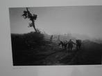 Prijswinnende foto Springael Nicolas  Karpaten, Natuur, 1980 tot heden, Foto, Nieuw