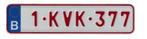 Kentekenplaat 17x4cm, Ophalen of Verzenden, Nieuw, Overige automerken