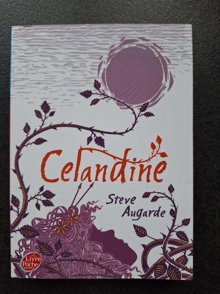 Celandine - Steve Augarde, Boeken, Kinderboeken | Jeugd | 13 jaar en ouder, Zo goed als nieuw, Fictie, Ophalen of Verzenden