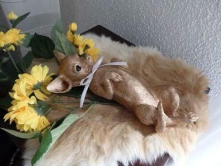 Chihuahua liggend, Dieren en Toebehoren, Honden-accessoires, Nieuw, Verzenden