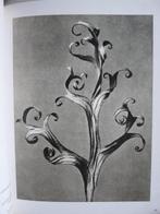 Karl Blossfeldt   Photos, Livres, Art & Culture | Photographie & Design, Enlèvement ou Envoi, Neuf, Photographie général