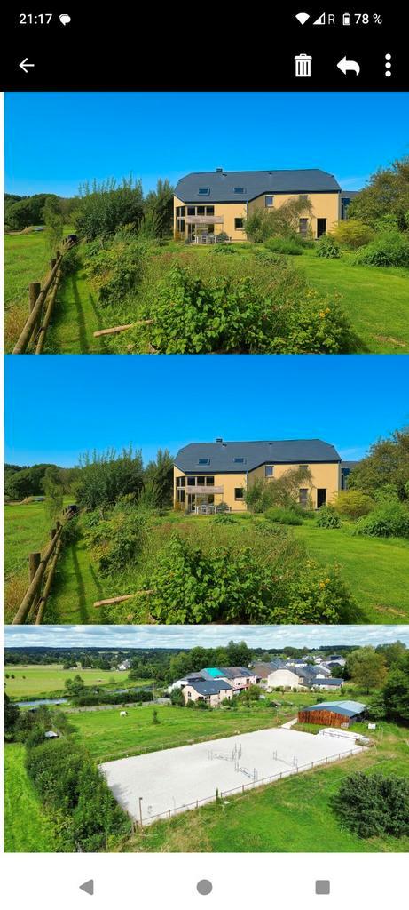 Propriété équestre chassepierre, Immo, Maisons à vendre, Province de Luxembourg, 1500 m² ou plus, Maison individuelle