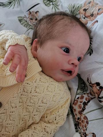 Reborn baby Primrose wakker  beschikbaar voor biedingen