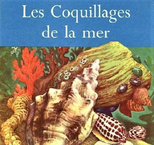 Les coquillages de la mer 🐚 [1958 - Armand Colin], Collections, Minéraux & Fossiles, Coquillage(s), Enlèvement ou Envoi