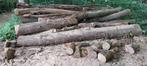 Brandhout, Tuin en Terras, Brandhout, 3 tot 6 m³, Ophalen, Eikenhout, Blokken
