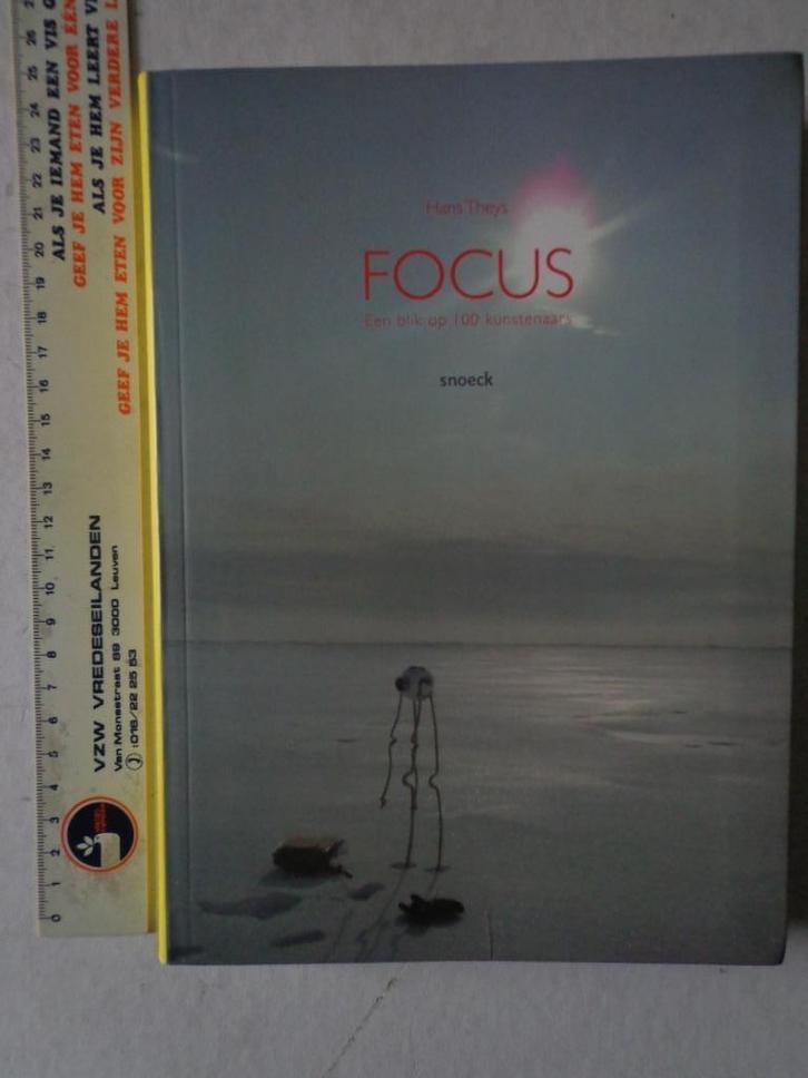 kunstboek Hans Theys Focus Een blik op 100 kunstenaars, Boeken, Kunst en Cultuur | Beeldend, Gelezen, Schilder- en Tekenkunst