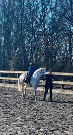 Lieve pony zoekt een leuk huisje!, Animaux & Accessoires, Poneys, Hongre, Poney D (1.37 m à 1.48m), Poney de récréation, 11 ans ou plus