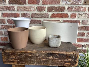 Bloempotten beschikbaar voor biedingen