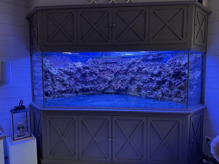Uniek hoekaquarium, Dieren en Toebehoren, Vissen | Aquaria en Toebehoren, Ophalen of Verzenden