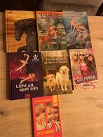 jeugdboeken te koop, Boeken, Kinderboeken | Jeugd | 10 tot 12 jaar, Ophalen of Verzenden