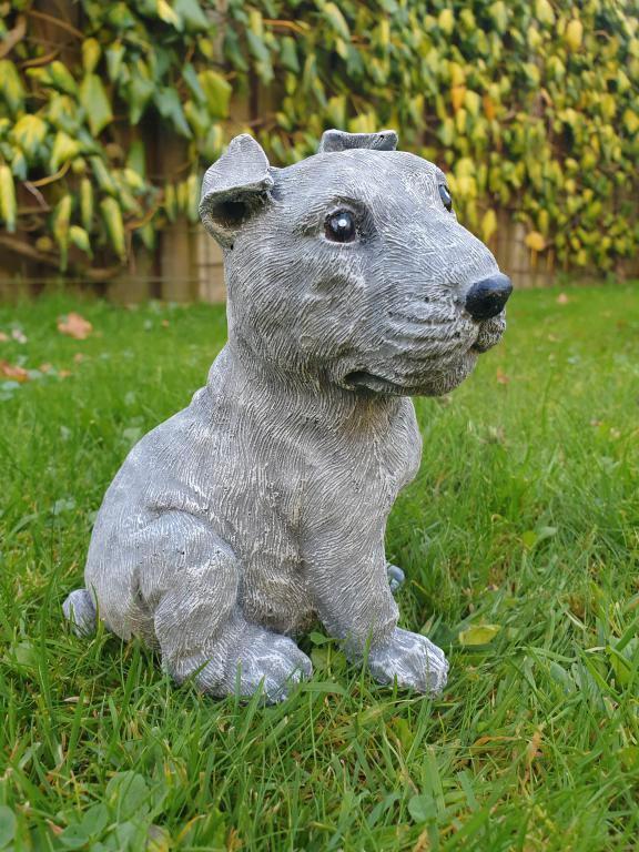 Staffordshire Bull Terrier , pitbull typ, Tuin en Terras, Tuinbeelden, Nieuw, Ophalen of Verzenden