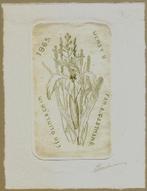 André Gastmans wenskaart "Een Glimlach in 1965", gesigneerd, Enlèvement, Comme neuf