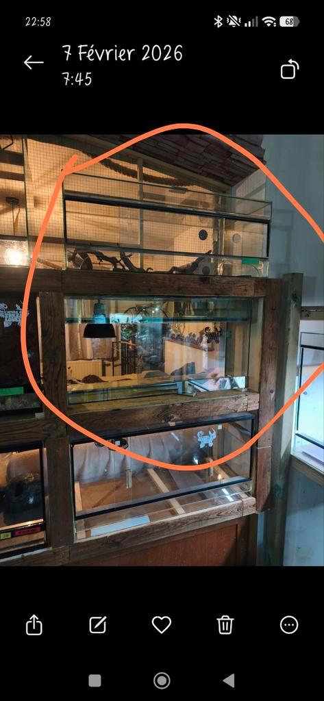 4  terrariums 150 eur, Animaux & Accessoires, Reptiles & Amphibiens | Accessoires, Enlèvement