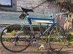 vélo, Vélos & Vélomoteurs, Enlèvement, Utilisé, 10 à 15 vitesses, Autres marques
