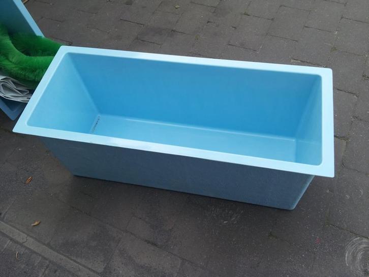 Meettank koi, Dieren en Toebehoren, Vissen | Vijvervissen, Overige soorten