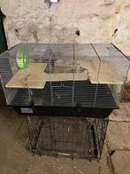 Hamsterkooi met toebehoren en voer, Enlèvement, Utilisé, Cage