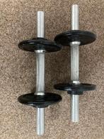 Halters met 4 schijven, Ophalen, Zo goed als nieuw, Buik, Halterset