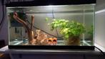 MOOI AQUARIUM TE KOOP, Dieren en Toebehoren, Ophalen of Verzenden, Zo goed als nieuw