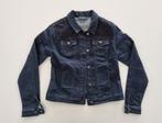 Jeansvest Terre Bleue Maat 38, Maat 38/40 (M), Ophalen of Verzenden, Jasje, Gedragen